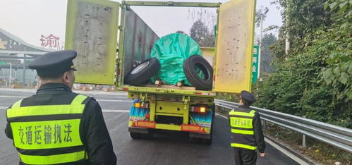 無證運輸還超載，商品車司機“賺外快”反被查