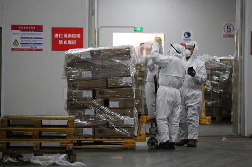 《公路、水路進口冷鏈食品物流新冠病毒防控和消毒技術指南（第四版）》印發 強化道路貨物運輸環節防控